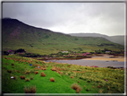 foto Parco nazionale di Connemara